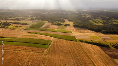 Fototapeta Naklejka Na Ścianę i Meble -  view of the field with sheaves