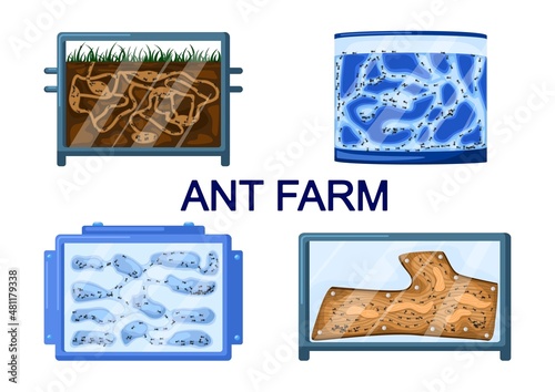 Set ant farms isolated on white background. Different kinds formicaria from plaster, earth, wood, gel.