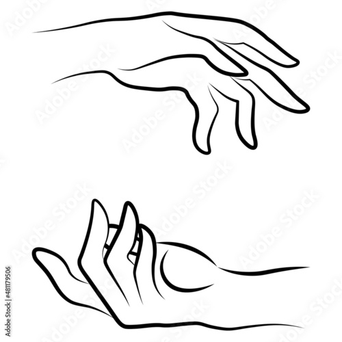 Women hands simple outline minimalistic linear gesture style. Vector Illustration of female hands for create logos  prints and other designs on white background