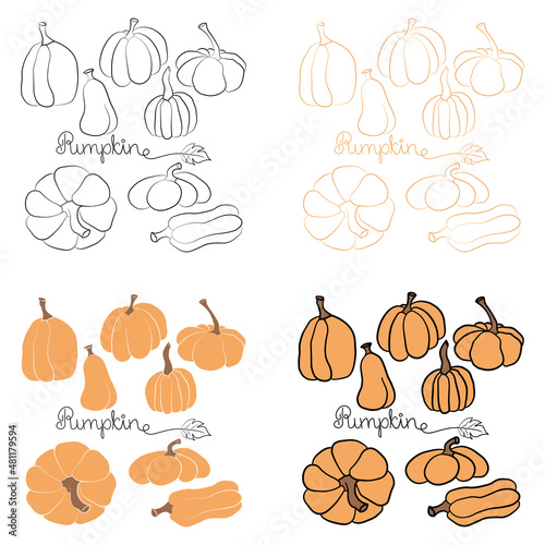 Pumpkin icon vector illustration set and handdrawn lettering in four different styles. Autumn Halloween or Thanksgiving pumpkin symbol in flat design  outline isolated on white background