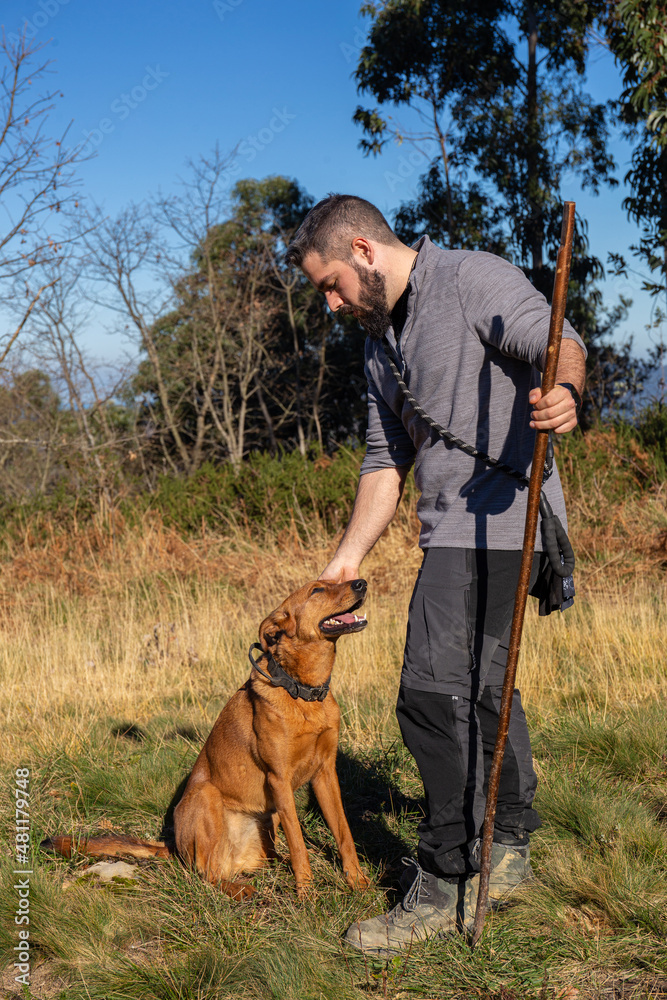 young man caressing his trained dog in the forest on a sunny hiking day young man caressing his trained dog in the forest on a sunny hiking day