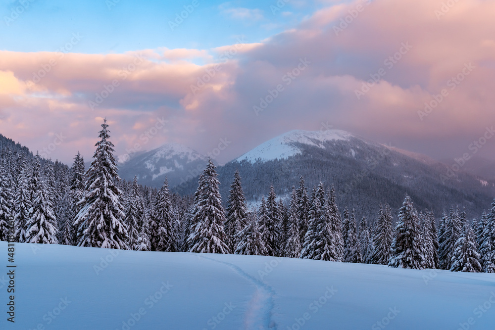 Fantastic winter landscape in snowy mountains glowing by morning sunlight. Dramatic wintry scene with frozen snowy trees at sunrise. Christmas holiday background