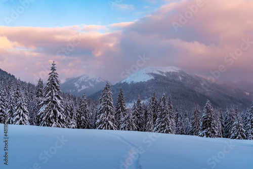 Fantastic winter landscape in snowy mountains glowing by morning sunlight. Dramatic wintry scene with frozen snowy trees at sunrise. Christmas holiday background © Ivan Kmit