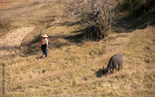 Obraz na płótnie Locals farmers working the fields, Myanmar w salonie