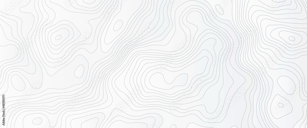 White wave paper curved reliefs abstract background, Abstract topographic contours map background, Vector contour topographic map background. Topography and geography map grid abstract backdrop.