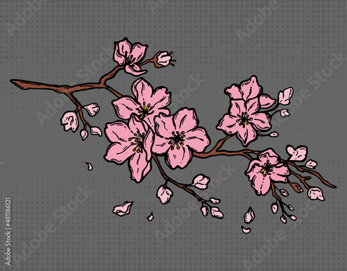 Cute hand-drawn sakura branch. Color cherry blossoms Japanese sakura. Color, sakura blossom. on background. illustration