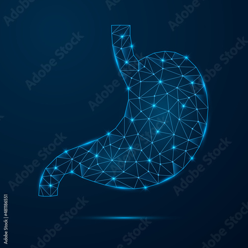 Human stomach with low poly glowing connected dots. Internal organ with triangular blue shapes. Vector isolated on dark blue background.