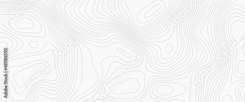 White wave paper curved reliefs abstract background, Abstract topographic contours map background, Vector contour topographic map background. Topography and geography map grid abstract backdrop.