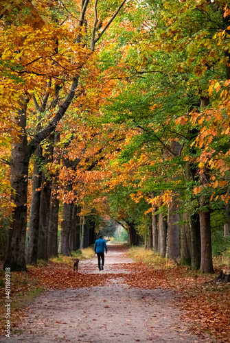 Man and dog taking a stroll in autumn