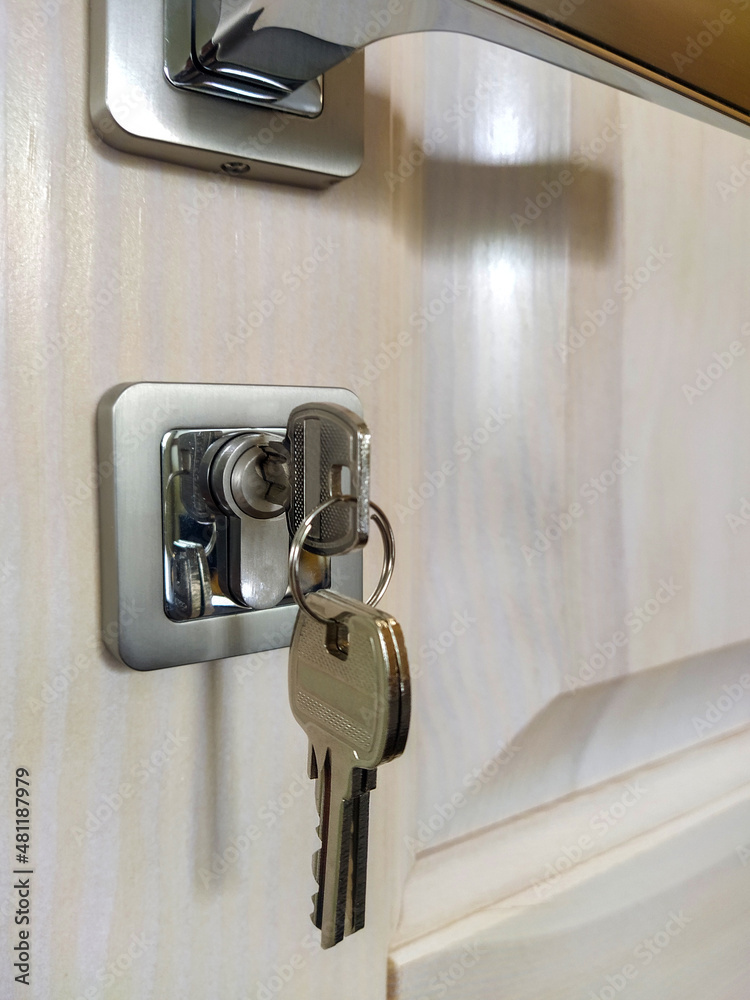 Open the door. Entrance to the house. Metal door handles and keys close up