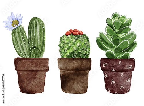 Watercolor Succulent Plants In Ceramic Pots Illustration Set