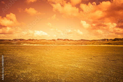 Dünen auf Rømø bei Abendlicht