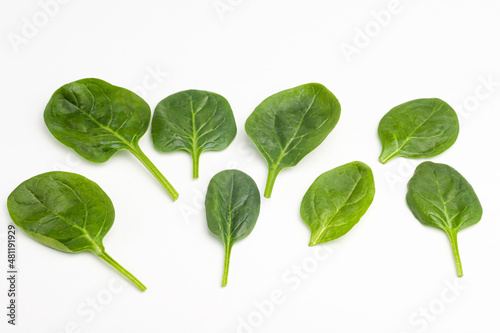 spinach on a white background, isolated