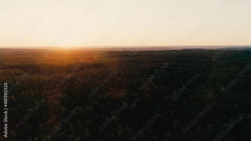 Aerial view of sunset sky and forest