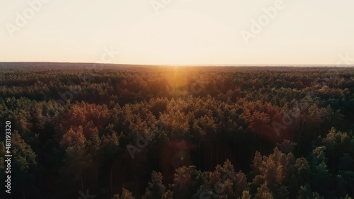 Aerial view of forest and sky at sunset