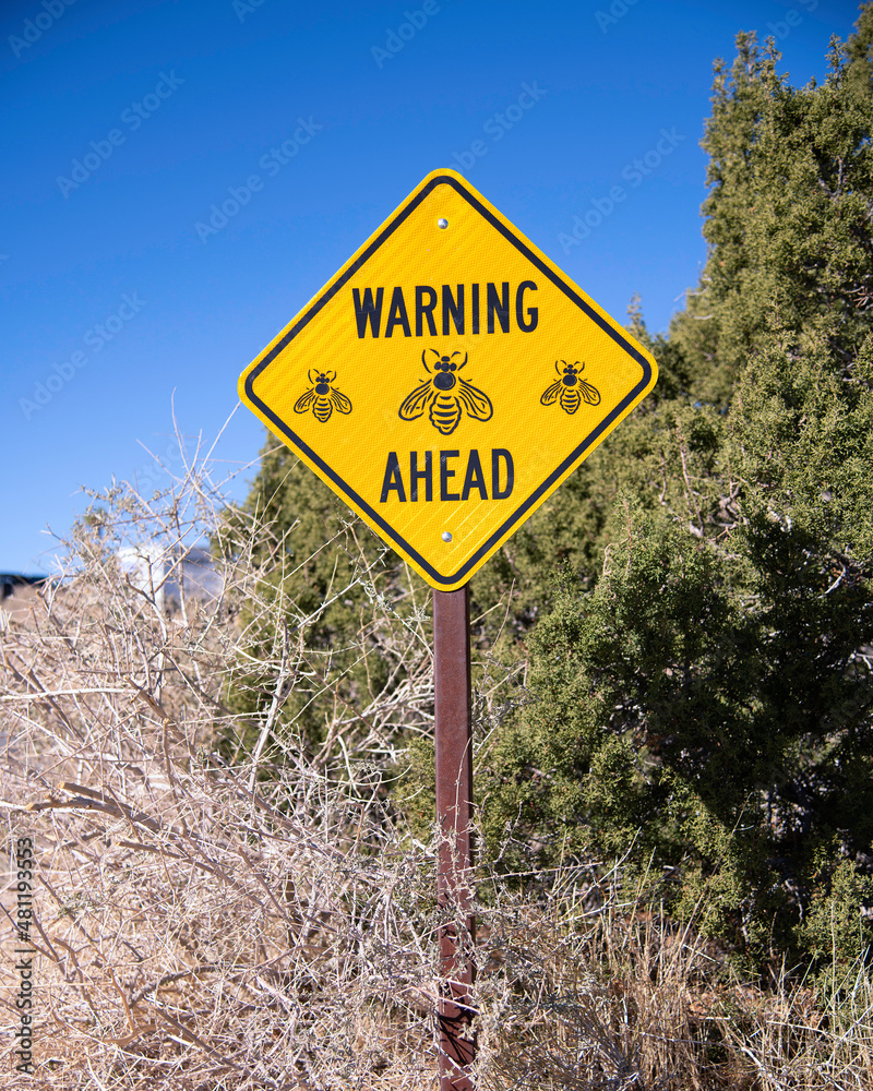 San Bernardino County, CA, USA - January 5, 2022: Wild bee warning sign at Keys View in Joshua Tree National Park, San Bernardino County, CA.