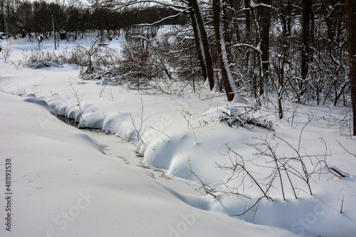 Snow alley in winter forest .Winter landscape at sunset