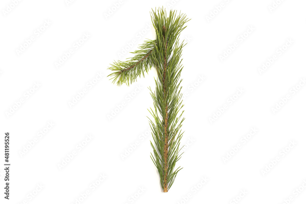 Numbers and letters of the alphabet made of coniferous branches Numbers and letters of the alphabet made of coniferous branches
