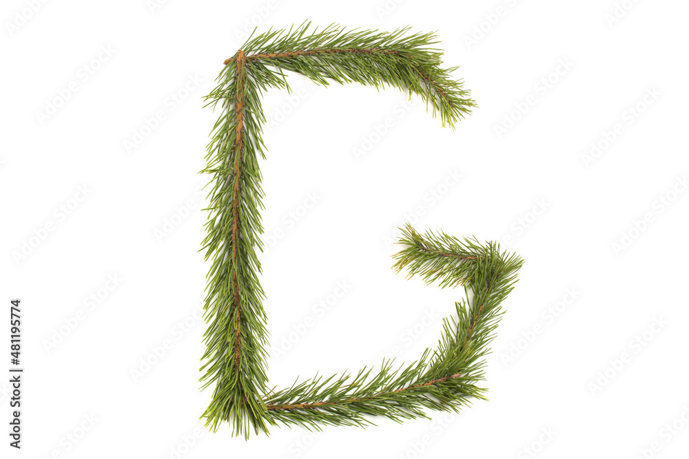 Numbers and letters of the alphabet made of coniferous branches