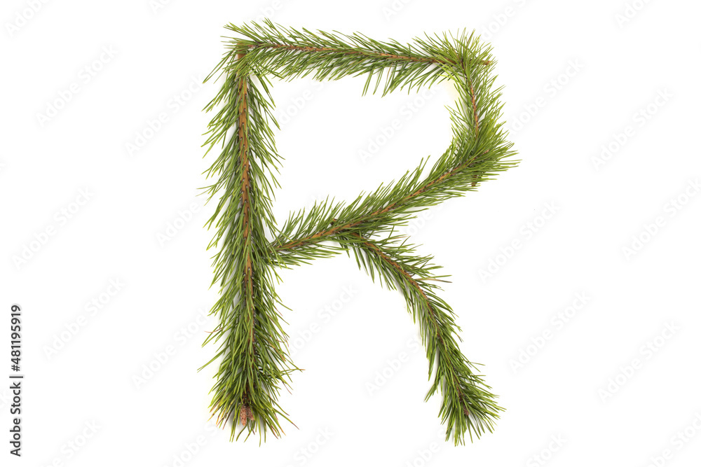 Numbers and letters of the alphabet made of coniferous branches Numbers and letters of the alphabet made of coniferous branches