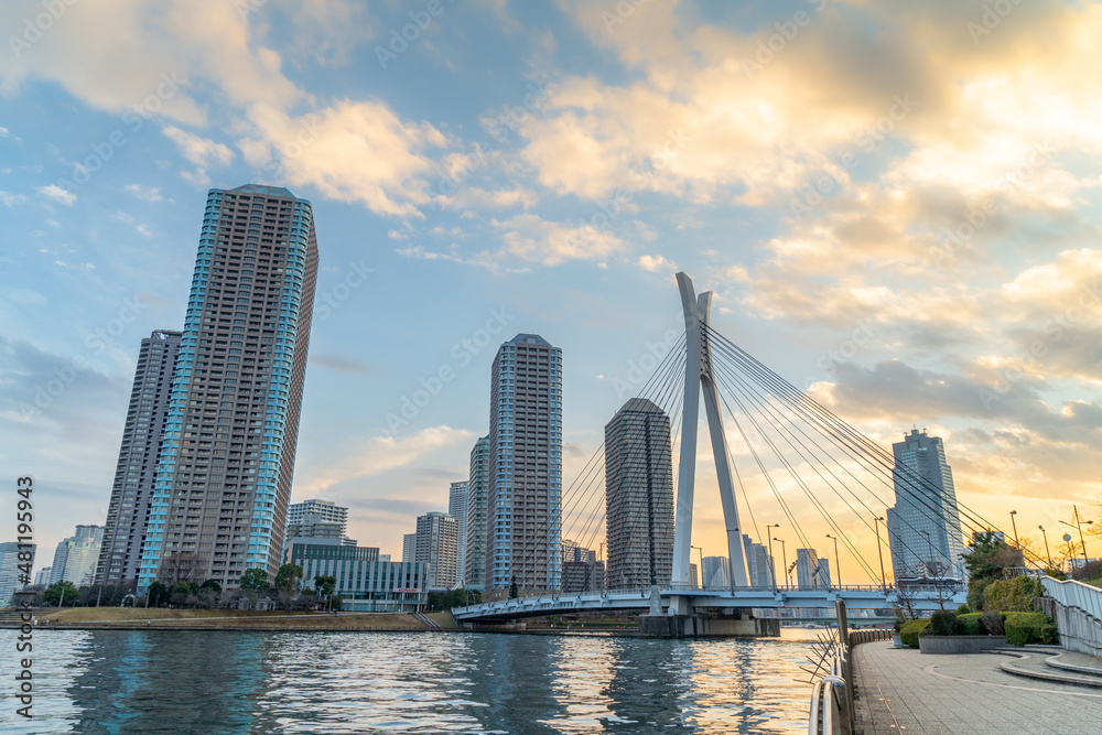 Fototapeta premium 東京都中央区 隅田川 佃の高層マンションと中央大橋 夕焼雲 