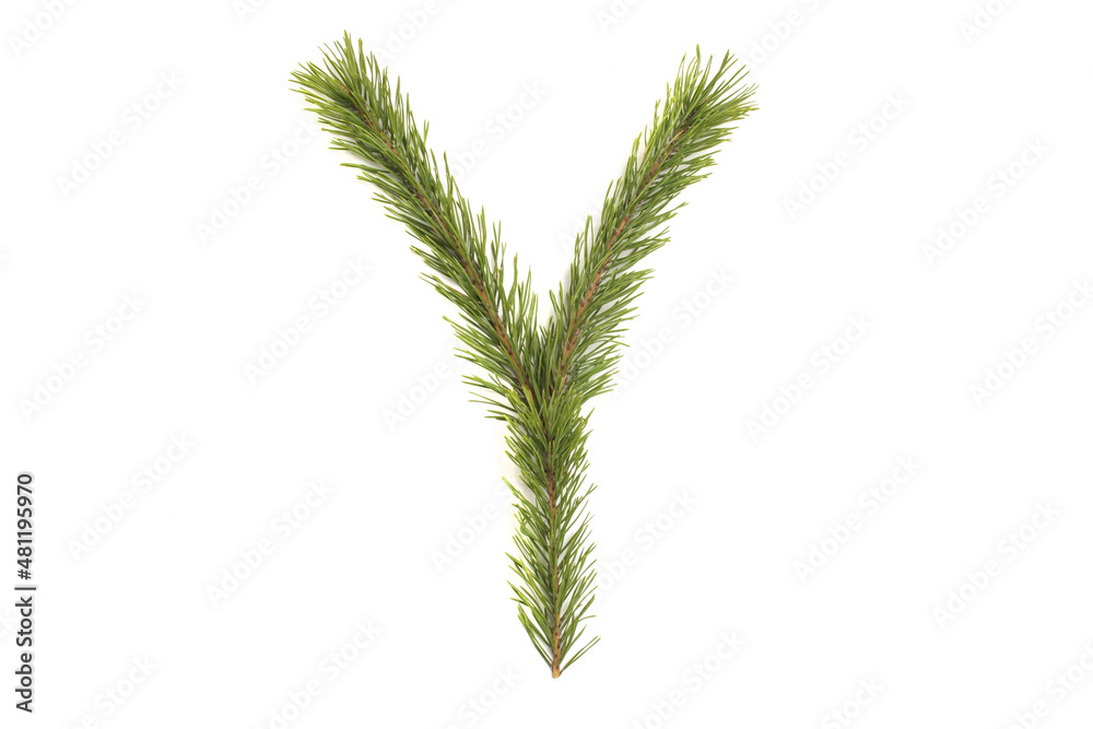 Numbers and letters of the alphabet made of coniferous branches Numbers and letters of the alphabet made of coniferous branches