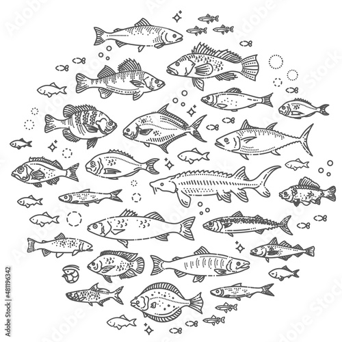 illustration with fish. Healthy eating concept