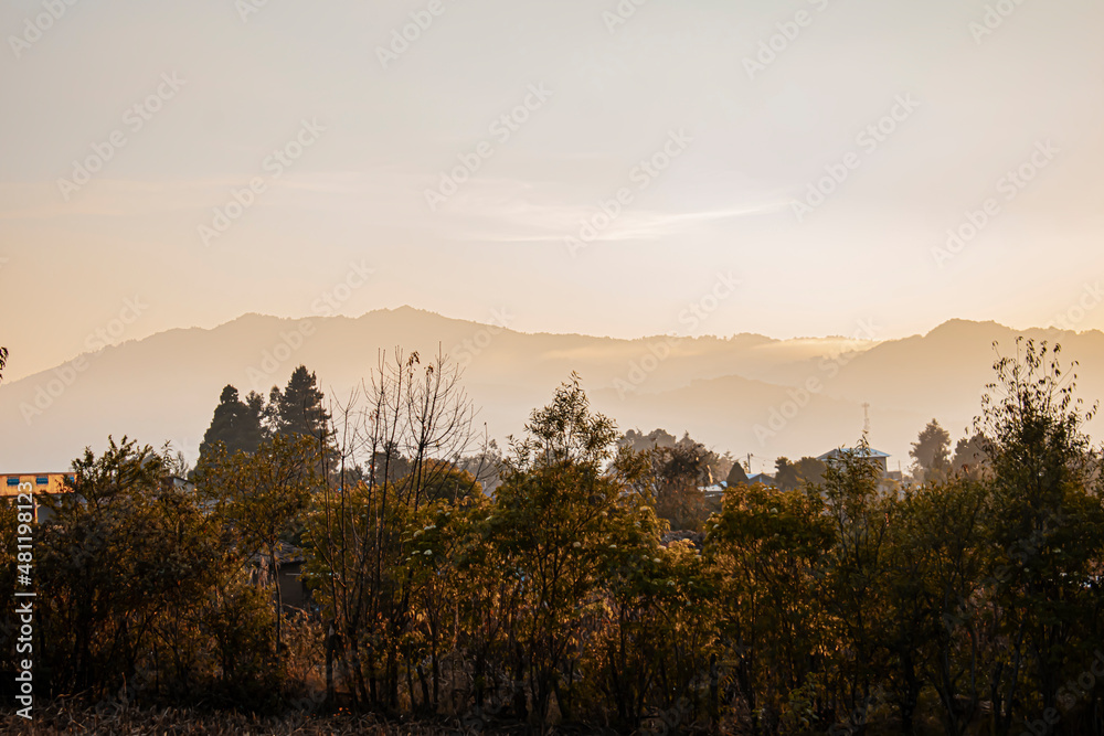 arboles con montañas y atardecer arboles con montañas y atardecer