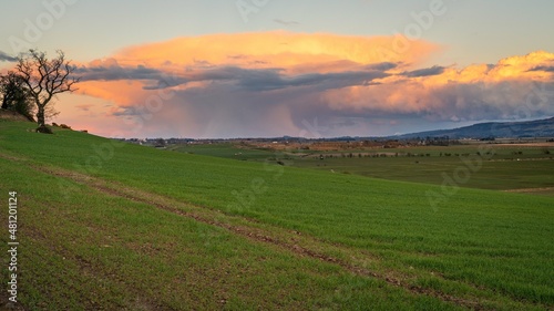 sunset over the field