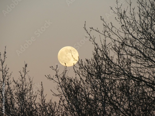 moon