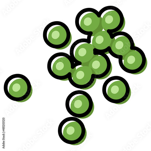 Green peas close up vector illustration. Outline color filled simple drawing
