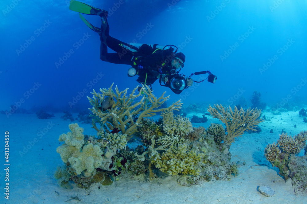 Unrecognizable diver with camera swimming near corals Unrecognizable diver with camera swimming near corals