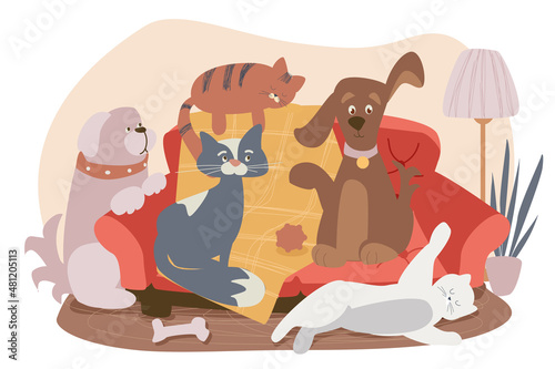 Cute dog and cats sitting on sofa concept