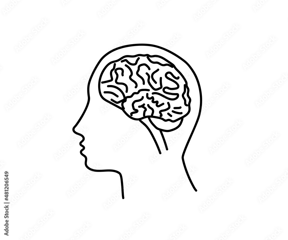 Human brain on a white background. Vector illustration. Human brain on a white background. Vector illustration.