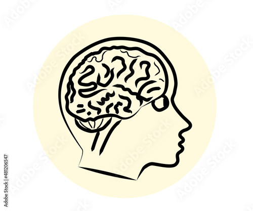 Human brain on a white background. Vector illustration.