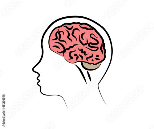 Human brain and head on a white background. Symbol. Vector illustration.