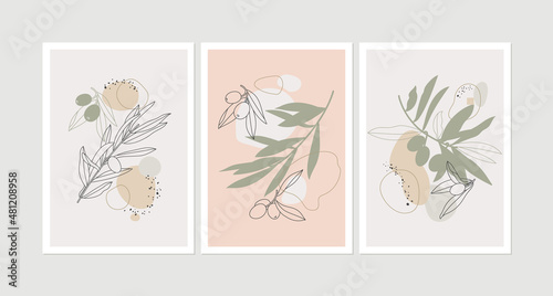 Vector illustration set of posters or cards with olive branches - simple linear style. Floral abstract composition backgrounds.