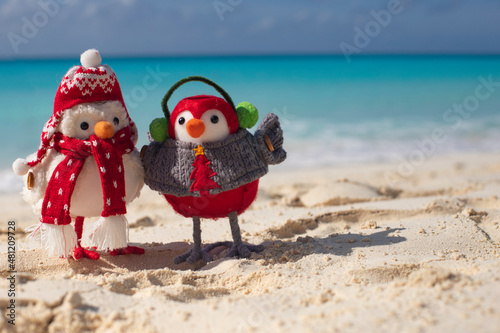 Red and white decorative birds on the beach. Yfhhe New Year on the beach