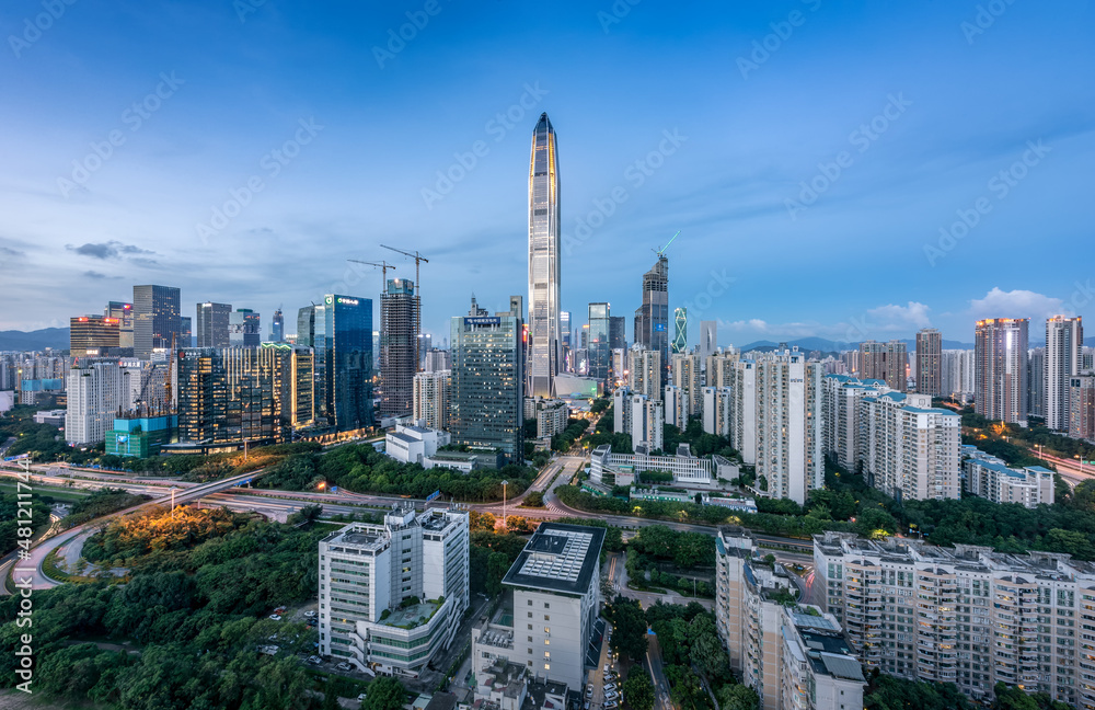 Fototapeta premium city skyline at night