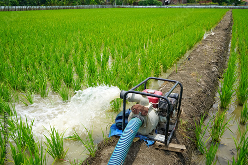 Irrigation of rice fields using pump wells with the technique of pumping water from the ground to flow into the rice fields. The pumping station where water is pumped from a irrigation canal. photo