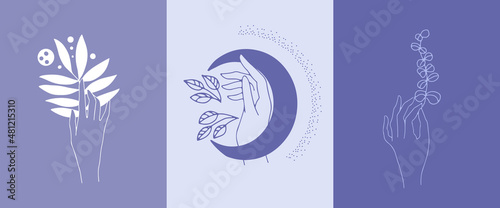 A set of vertical layouts in A4 format in very peri color.