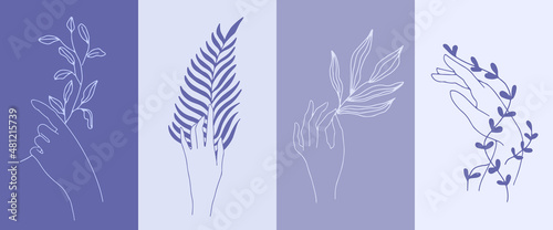A set of vertical layouts in A4 format in very peri color.