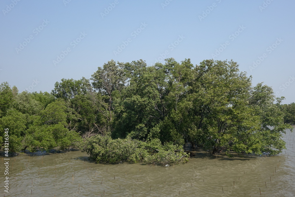 Scenic mangroves at the Gulf of Thailand (horizontal image), Khok Kham, Samut Sakhon, Thailand Scenic mangroves at the Gulf of Thailand (horizontal image), Khok Kham, Samut Sakhon, Thailand
