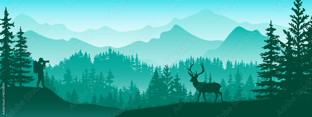 Photographer on meadow in forest take picture of deer. Silhouette of tree, man, animal, mountains. Wild nature landscape. Horizontal banner.