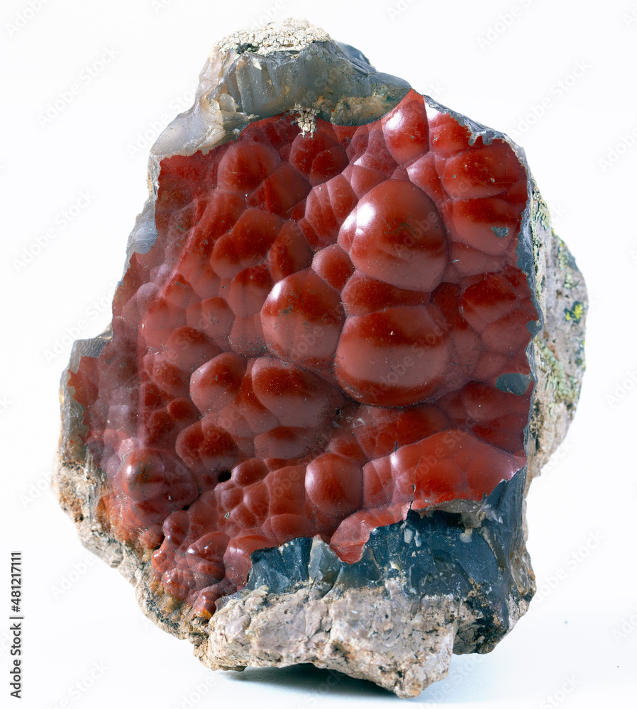 Obraz premium red fox agate mineral specimen stone rock geology gem crystal