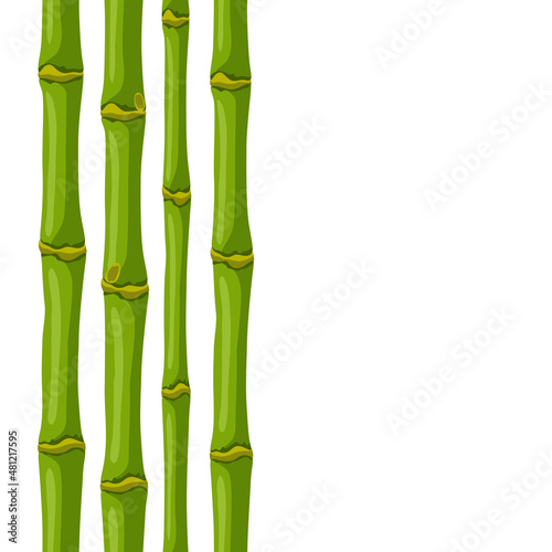 Fototapeta Naklejka Na Ścianę i Meble -  Seamless pattern with green bamboo stems. Decorative exotic plants of tropic jungle.