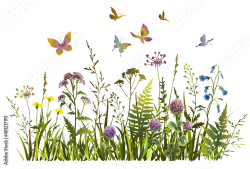 Colorful wildflowers and butterflies silhouettes. Floral spring or summer field.
