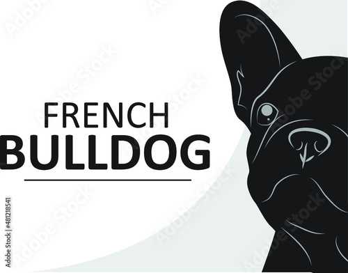 dog vector breed cute pet animal bulldog french