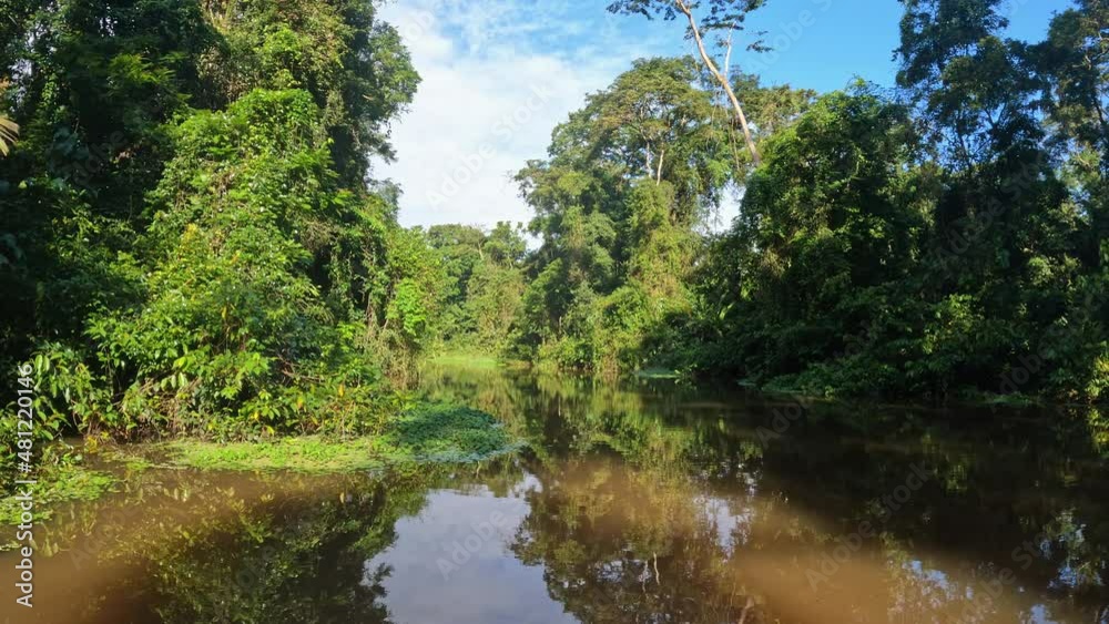 Boat moving through the channel with nice beautiful of rainforest , POV view from canoe boat. Tortuguero, Costa Rica Boat moving through the channel with nice beautiful of rainforest , POV view from canoe boat. Tortuguero, Costa Rica