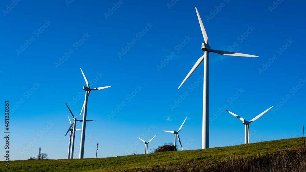 field of wind turbines seen from behind on blue sky field of wind turbines seen from behind on blue sky